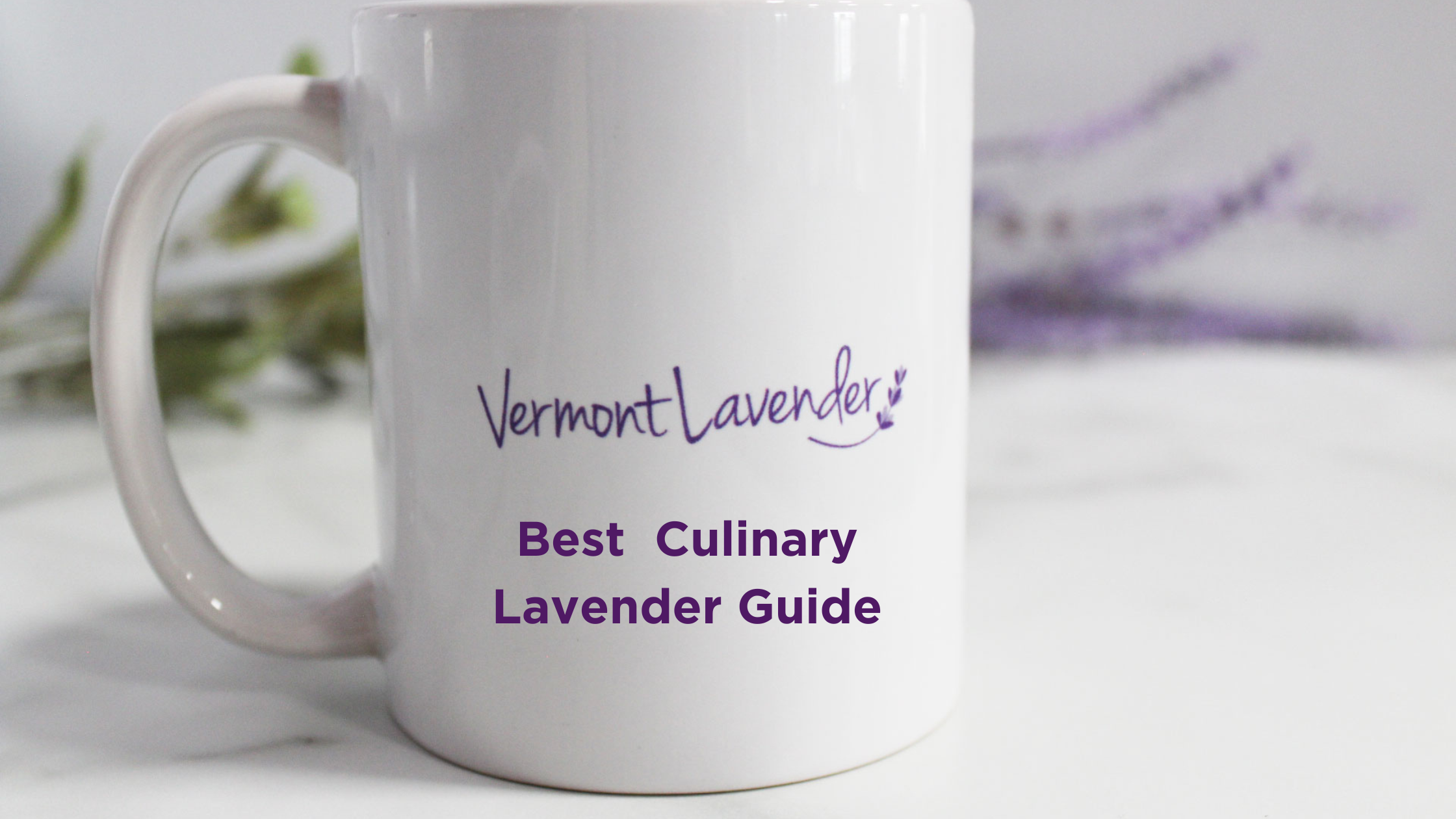 Best cuinary lavender guide by Vermont Lavender