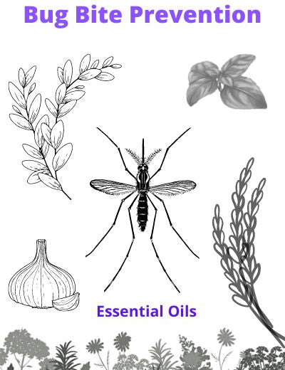 Bug Bite Prevention Using Essential Oils