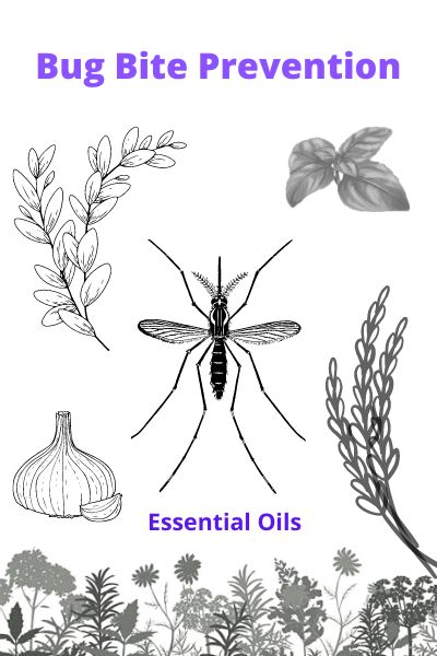 Bug Bite Prevention Using Essential Oils