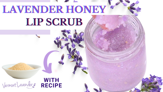 DIY Lavender Honey Lip Scrub for Chapped Lips