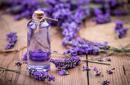 Lavender essential oil