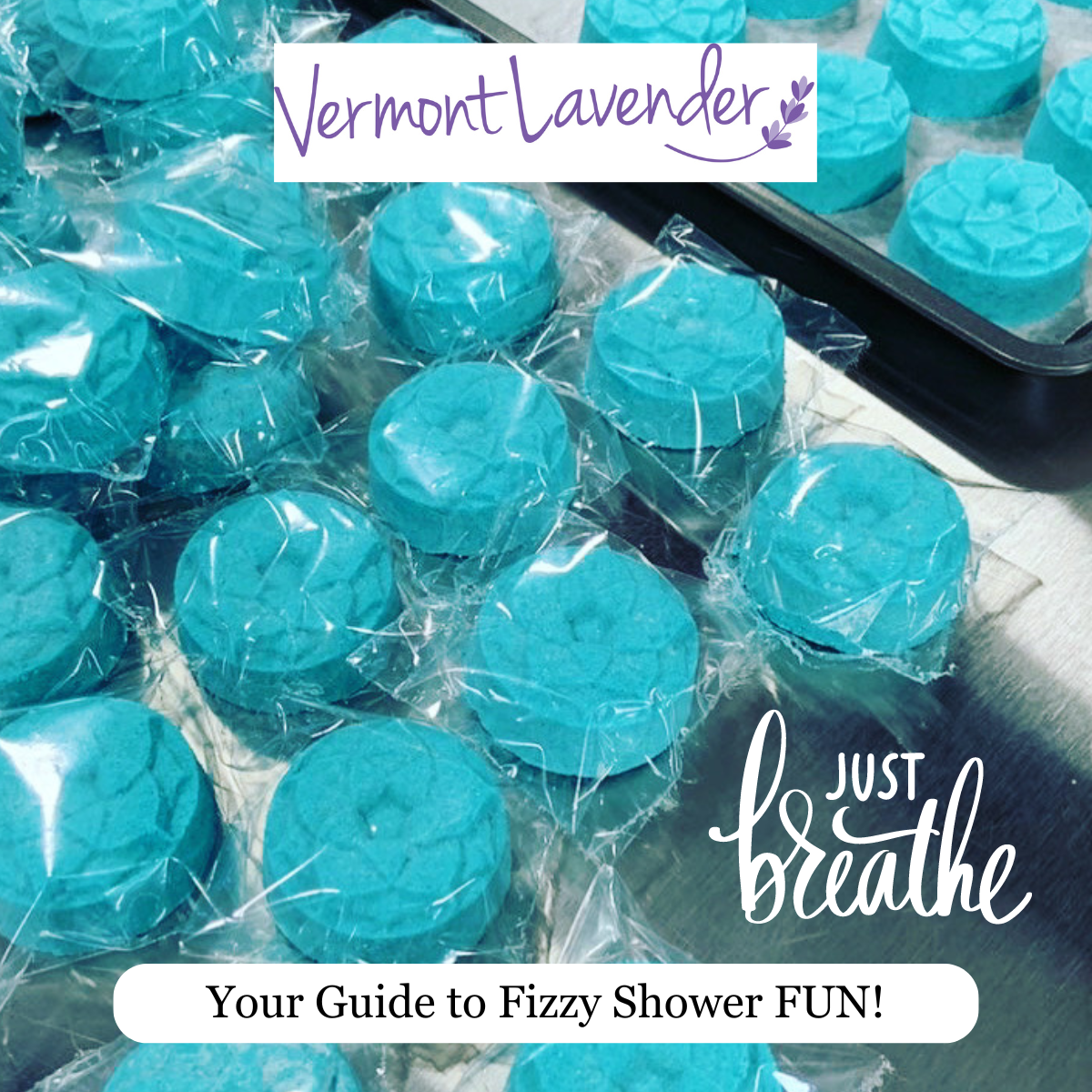 Shower steamers or bath fizzies an aromatherapy experience by Vermont Lavender LLC