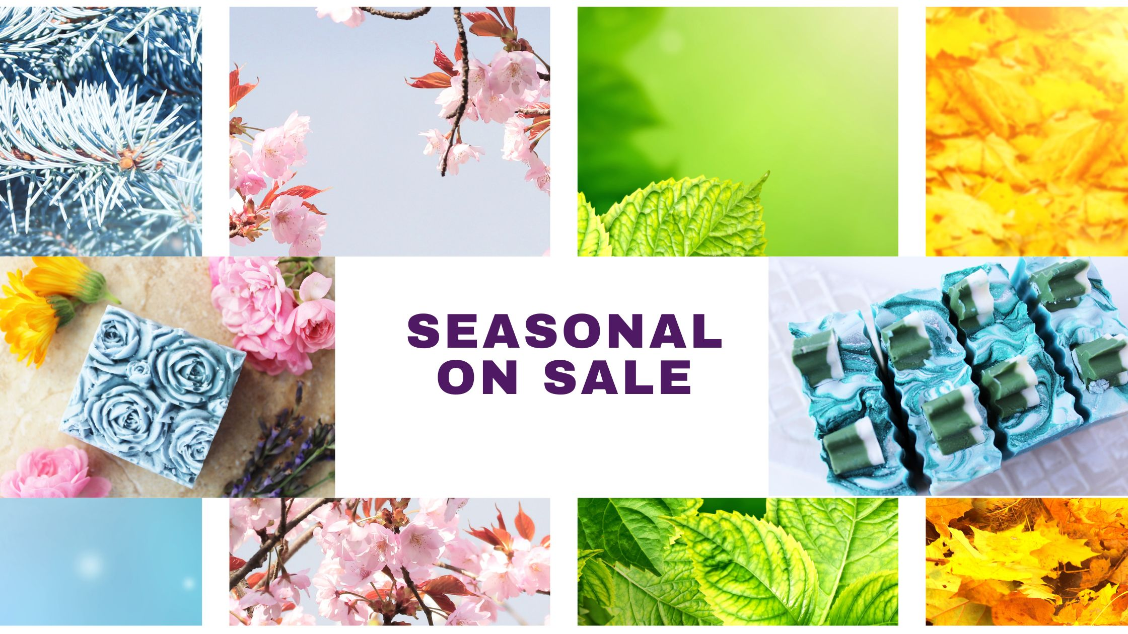 Season on sale Specials by Vermont Lavender