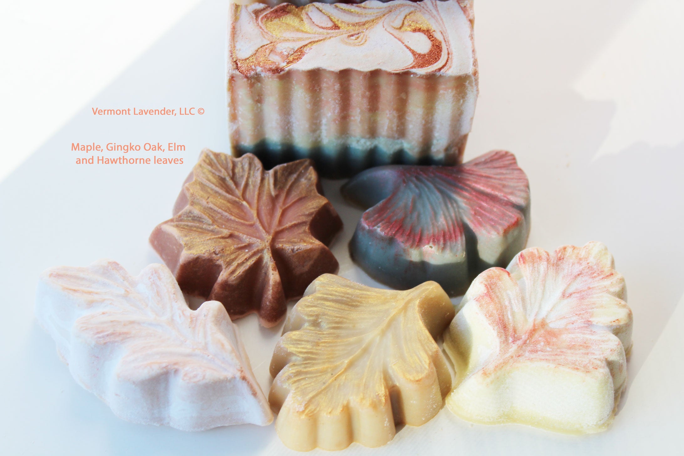 Maple sugar berries soap leaves