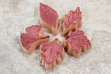 Shower Steamer | Seasonal | Moon Stars, Herbal, Aromatherapy Peppermint Candy, Maple